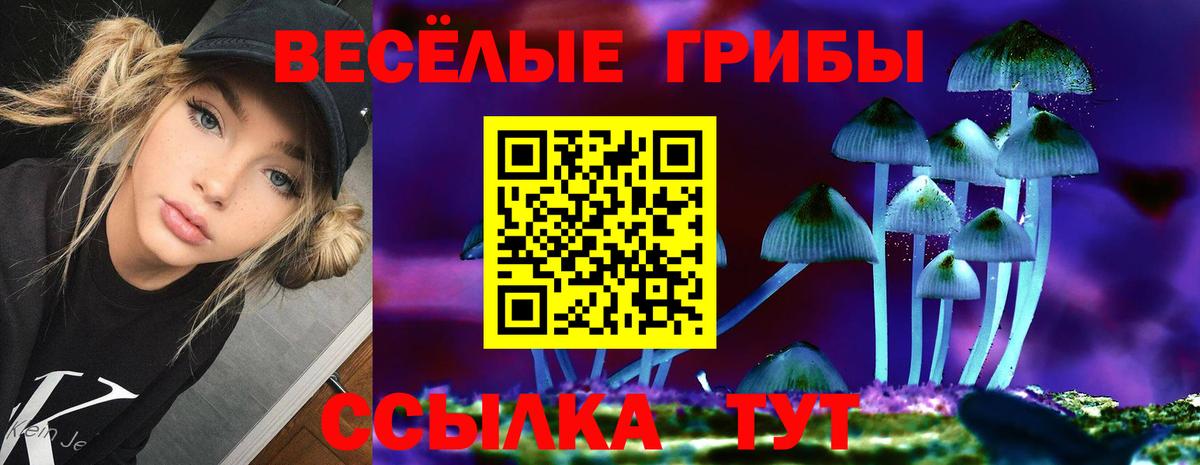 где можно купить   Галлюциногенные грибы мухоморы  Вход с VPN  Воронеж  Галлюциногенные грибы Magic Shrooms 
